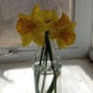 Meet your Posher, Kara